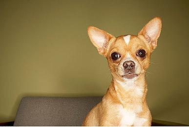 任天堂新一期直面会18日22点举行 时长40分钟